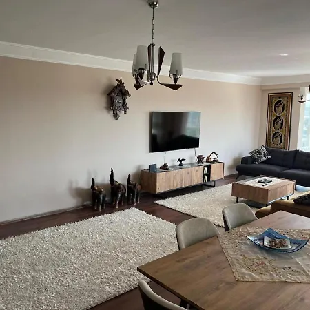 Flat Apartment